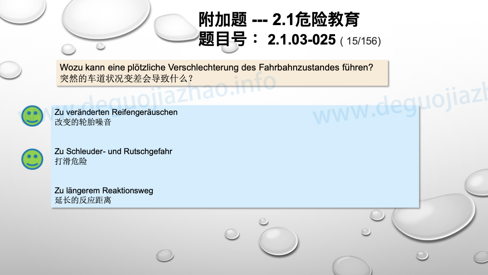 德国驾照官方理论题 章节 2.1.03 车道和天气因素