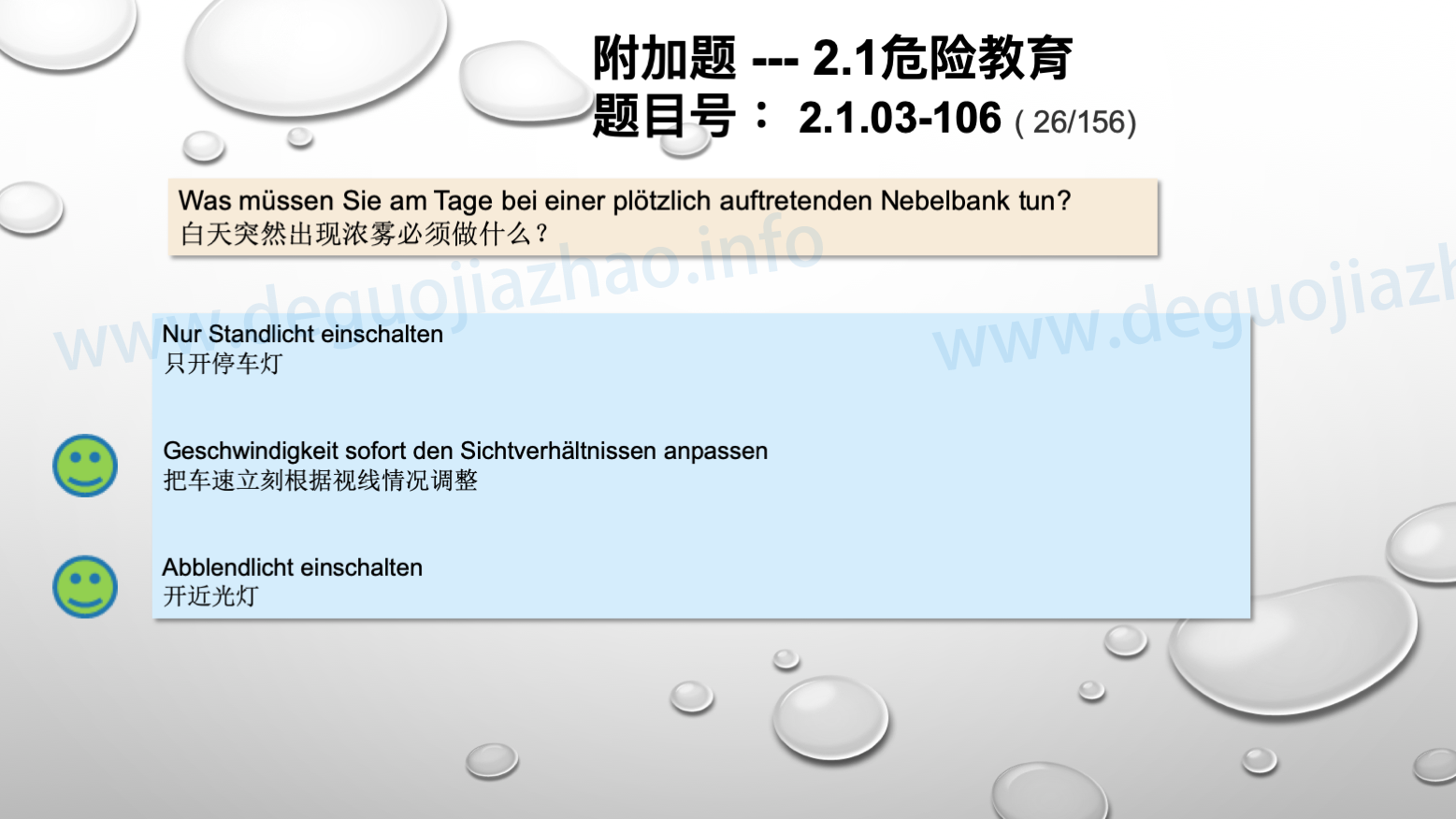 德国驾照官方理论题 章节 2.1.03 车道和天气因素