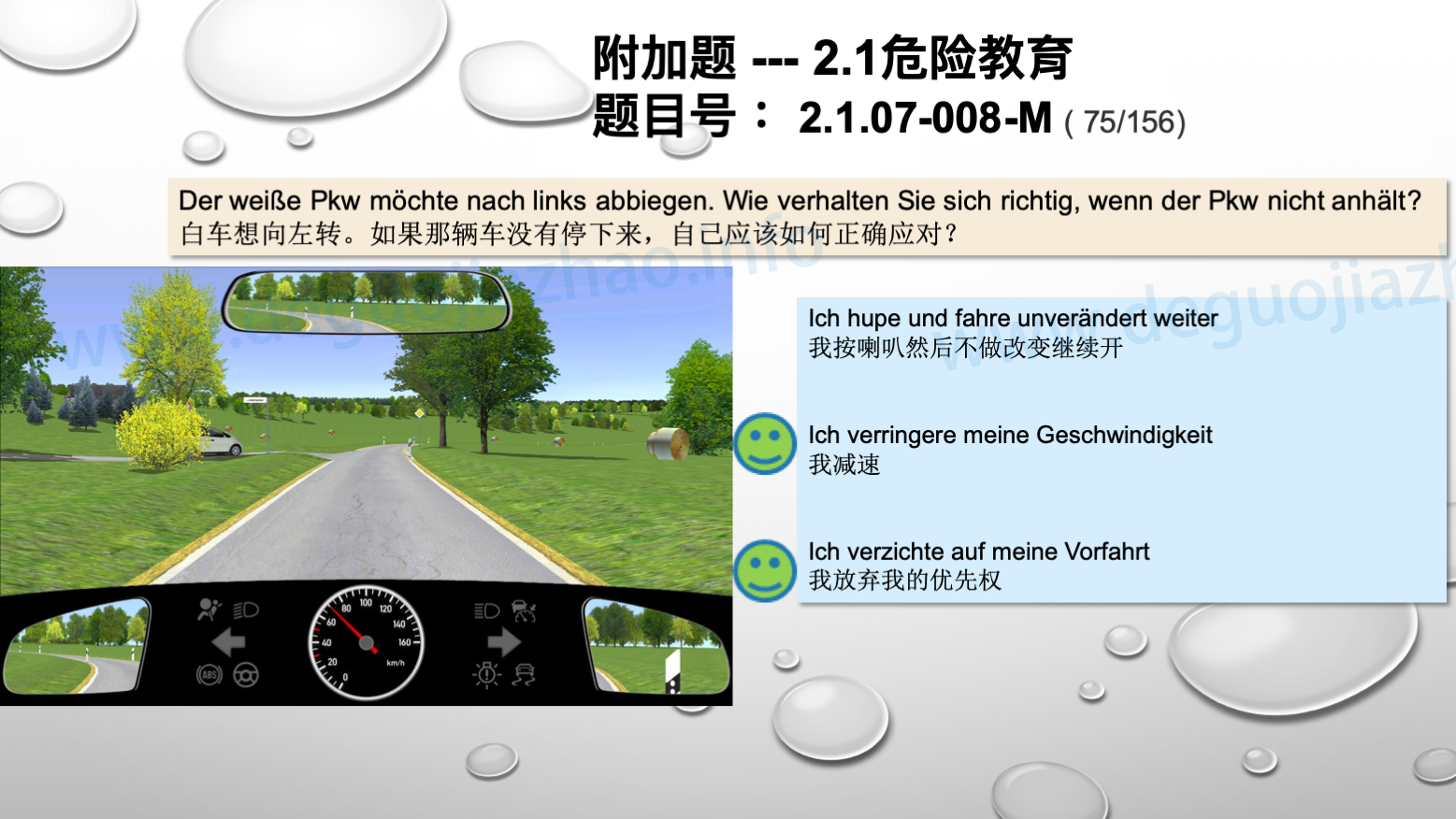 德国驾照官方理论题 章节 2.1.07 特殊的交通情况