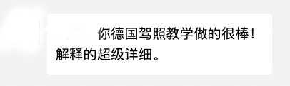 德国驾照网友评价